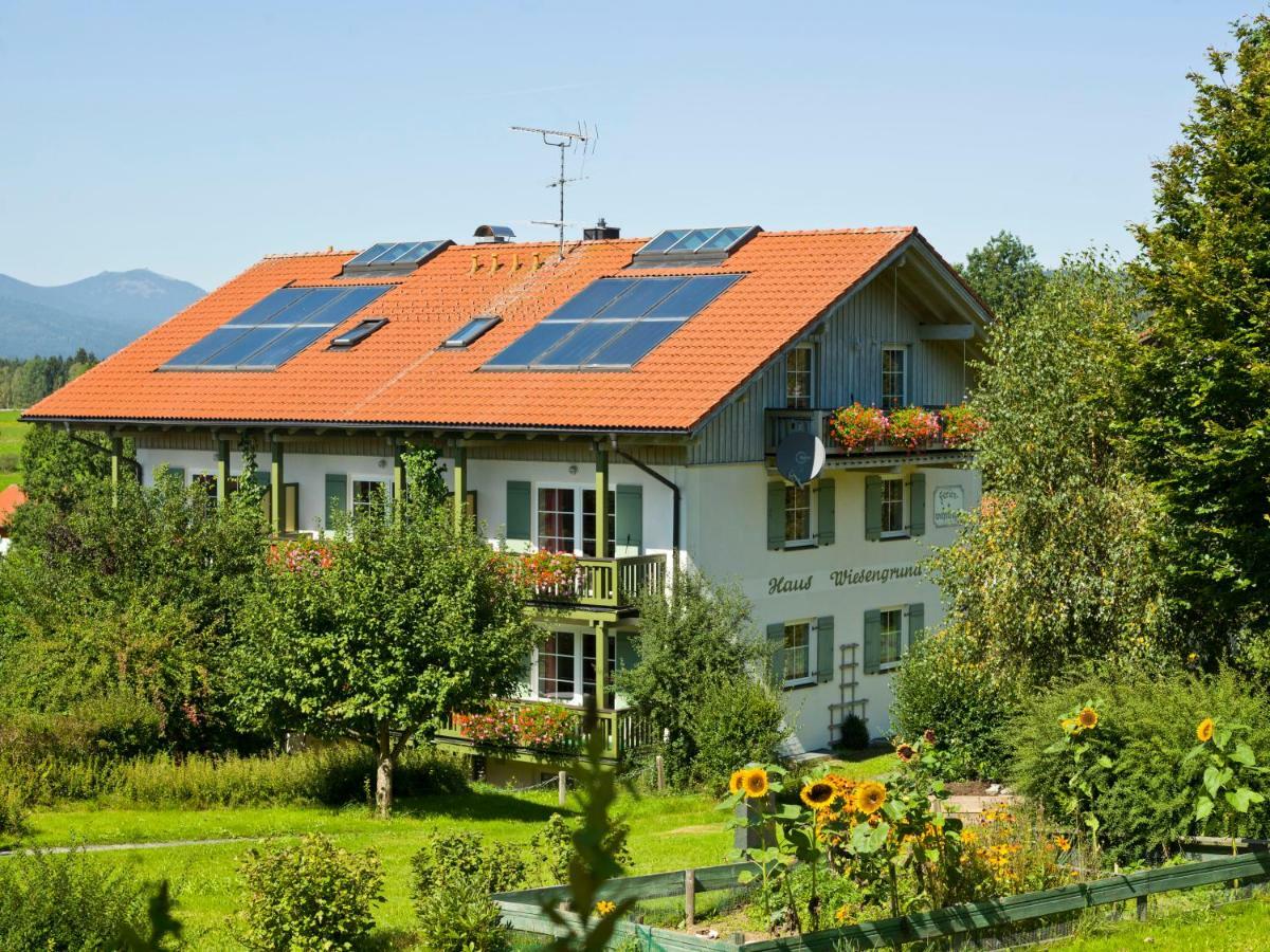 Haus Wiesengrund Frauenau Eksteriør billede
